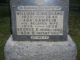 image of grave number 284569